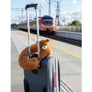 Promotional Plush teddy bear, travel pillow | Triperd - GP26706
