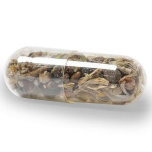 Promotional Wildflower seeds capsule - GP57223