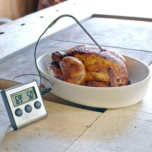 Promotional Meat thermometer